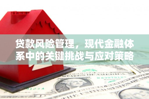 大足贷款风险管理，现代金融体系中的关键挑战与应对策略