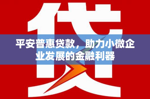 大足平安普惠贷款，助力小微企业发展的金融利器